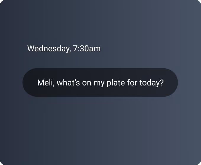 Meli by Gmelius, your AI Executive Assistant