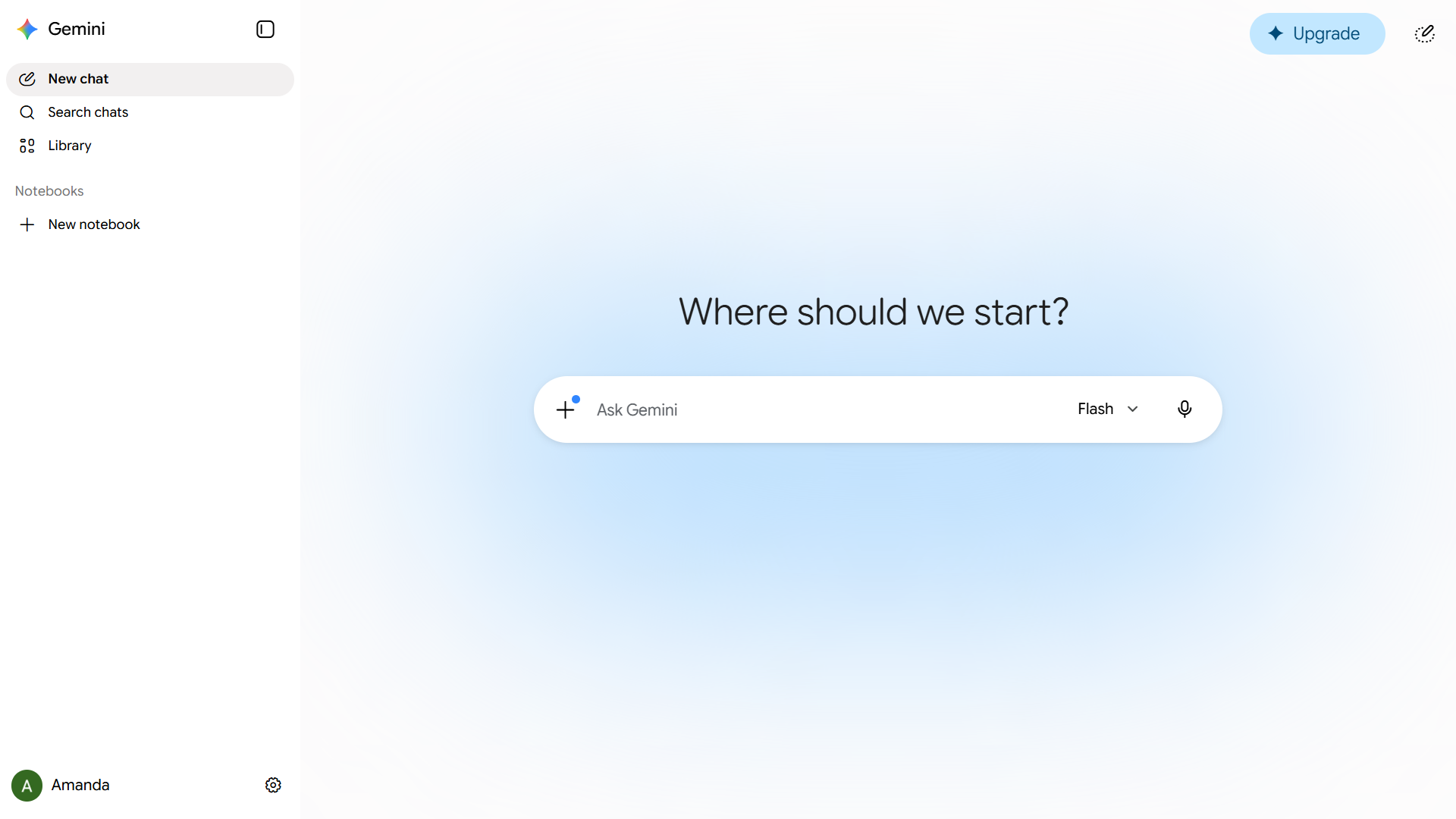 The Google Gemini UI
