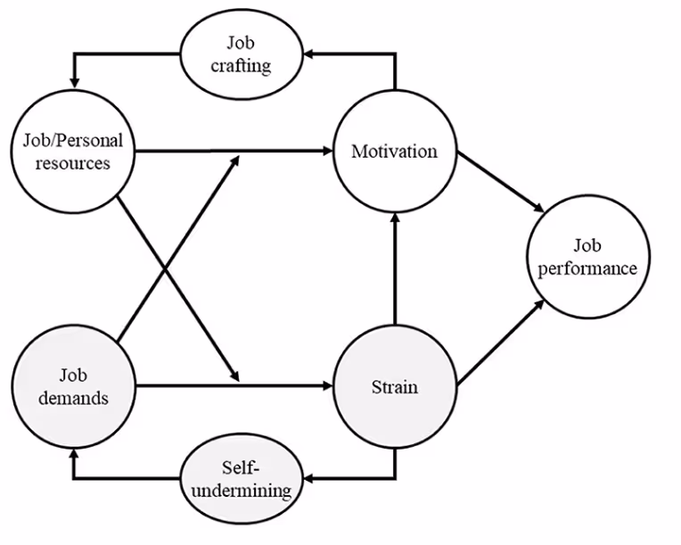 overview of the JD-R employee engagement framework
