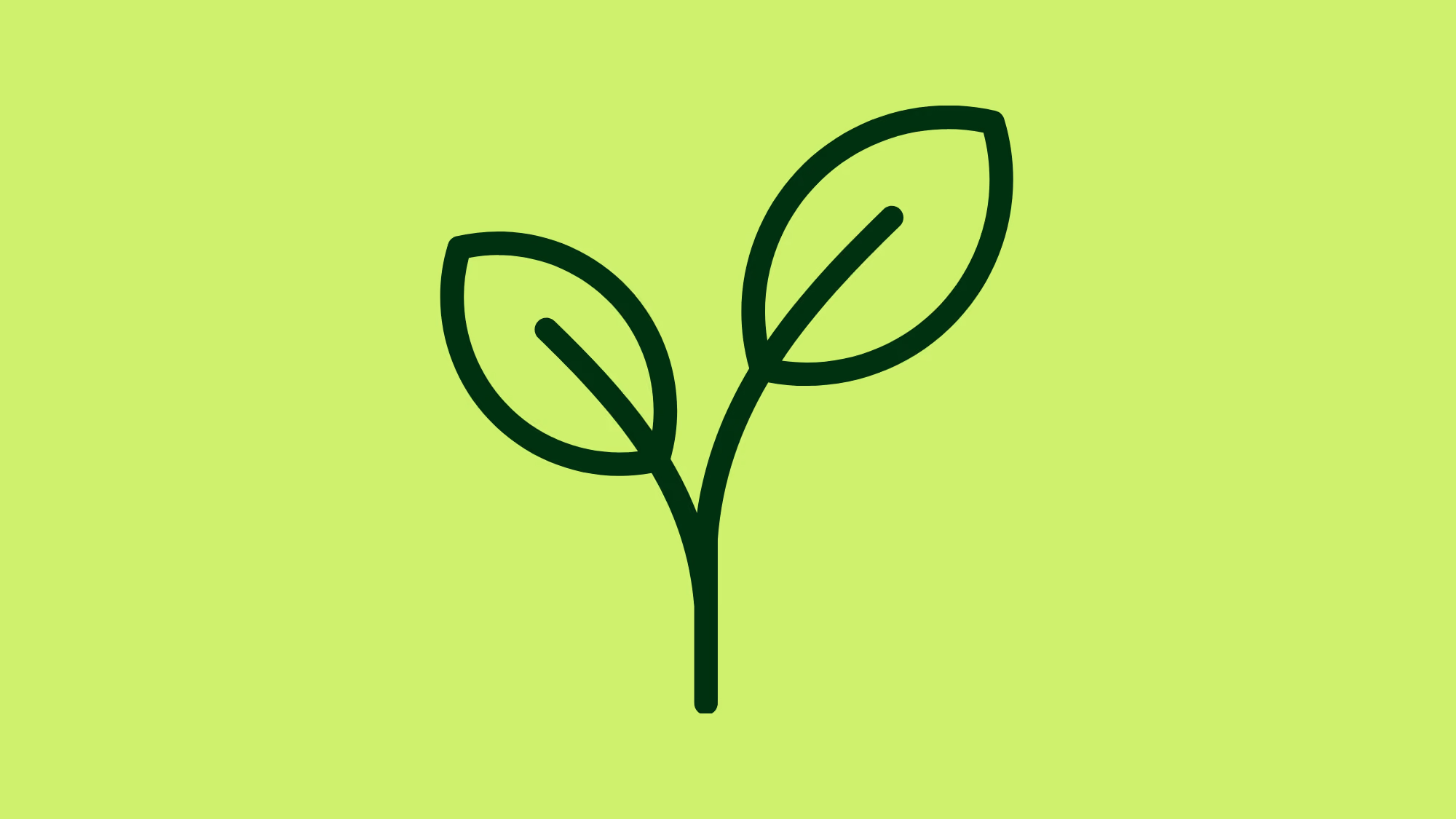 Growing fast? Here’s how to choose an internal communication tool that keeps up