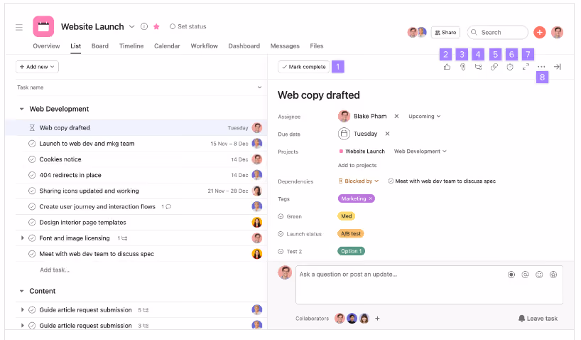 asana project management overview