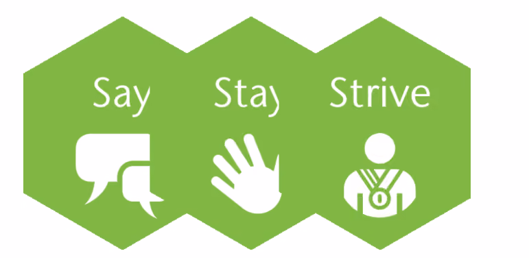 Graphic showing the AON Hewitt employee engagement model of say, stay, strive.