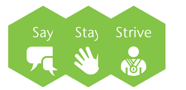 Graphic showing the AON Hewitt employee engagement model of say, stay, strive.