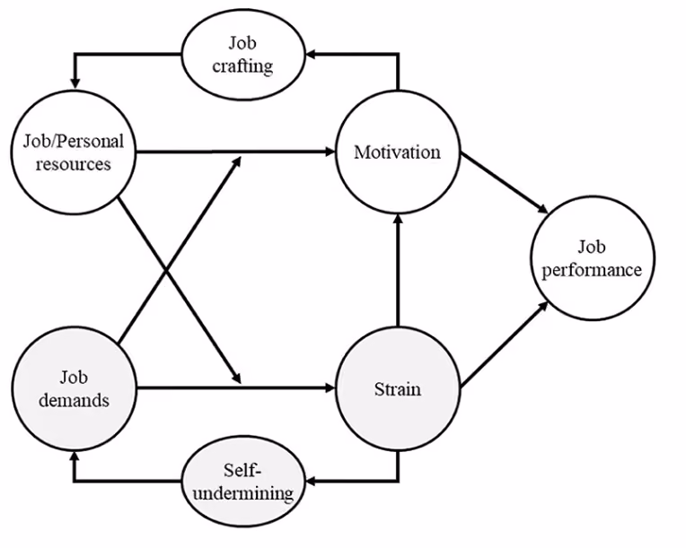 overview of the JD-R employee engagement framework