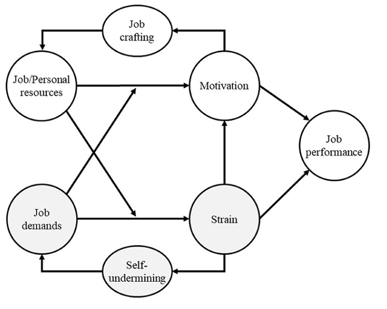 overview of the JD-R employee engagement framework