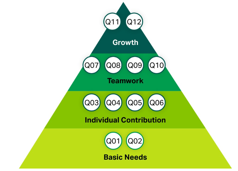 Graphic showing the gallup employee engagement model