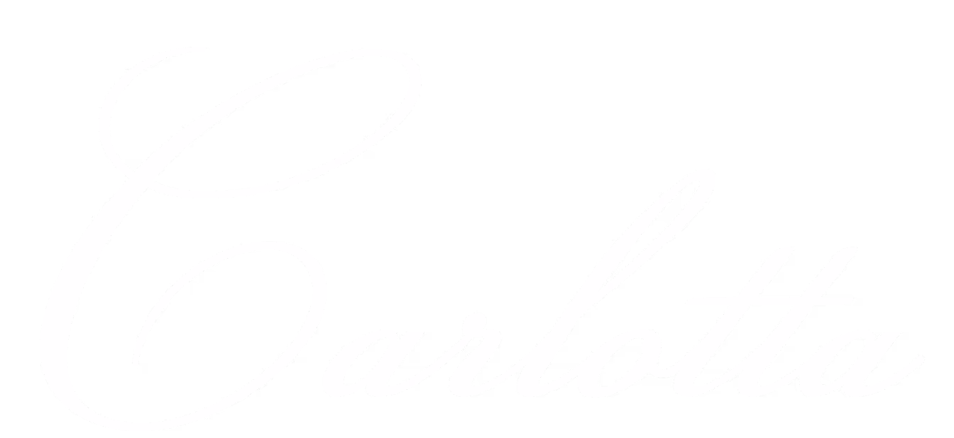 Carlotta — Blink customer
