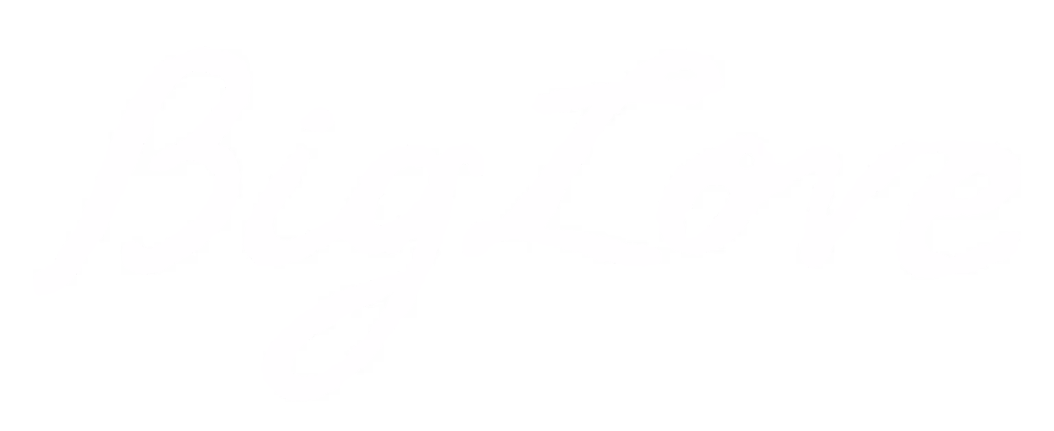 Big Love — Blink customer