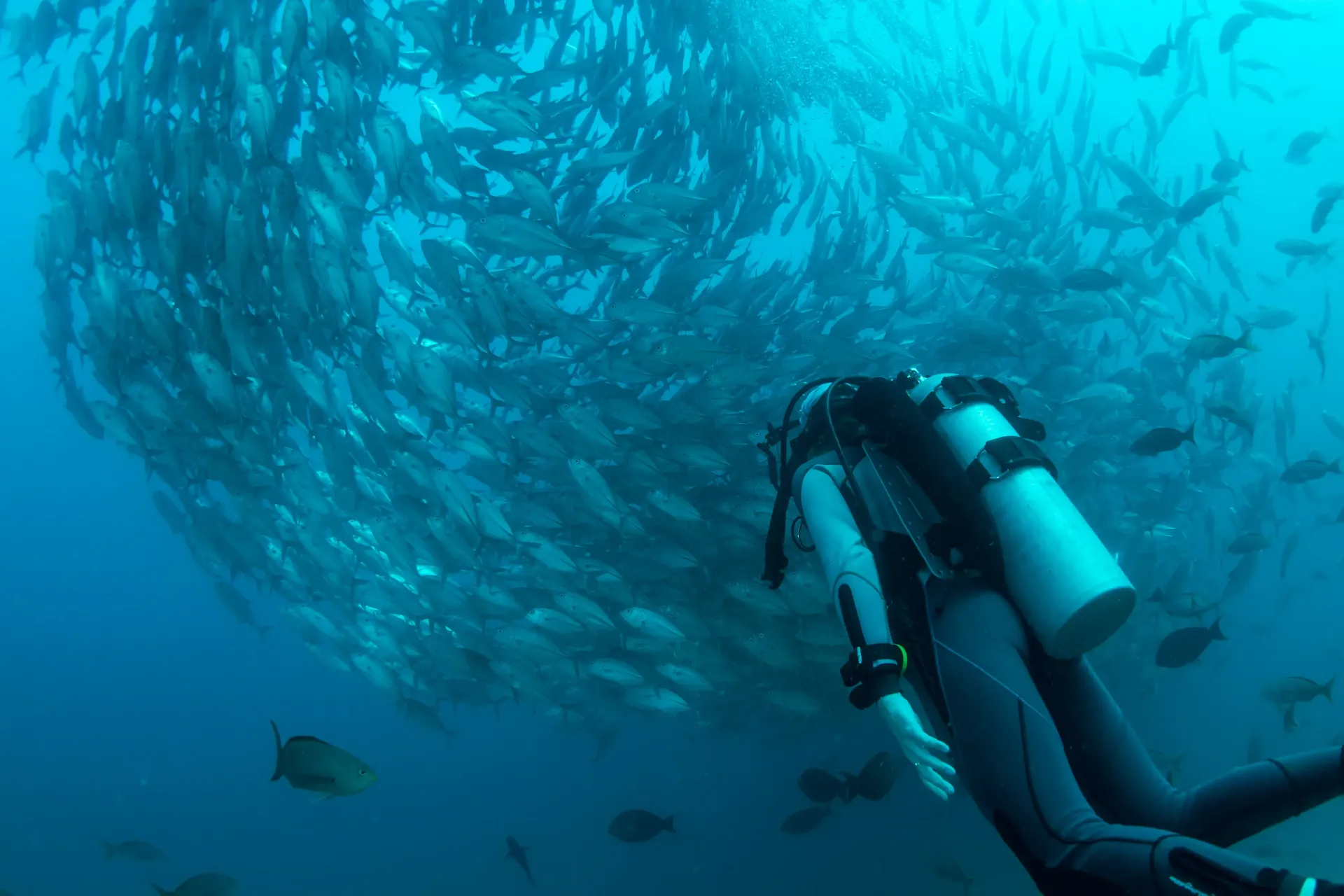 CAB - 3 hour Snorkeling Cruise