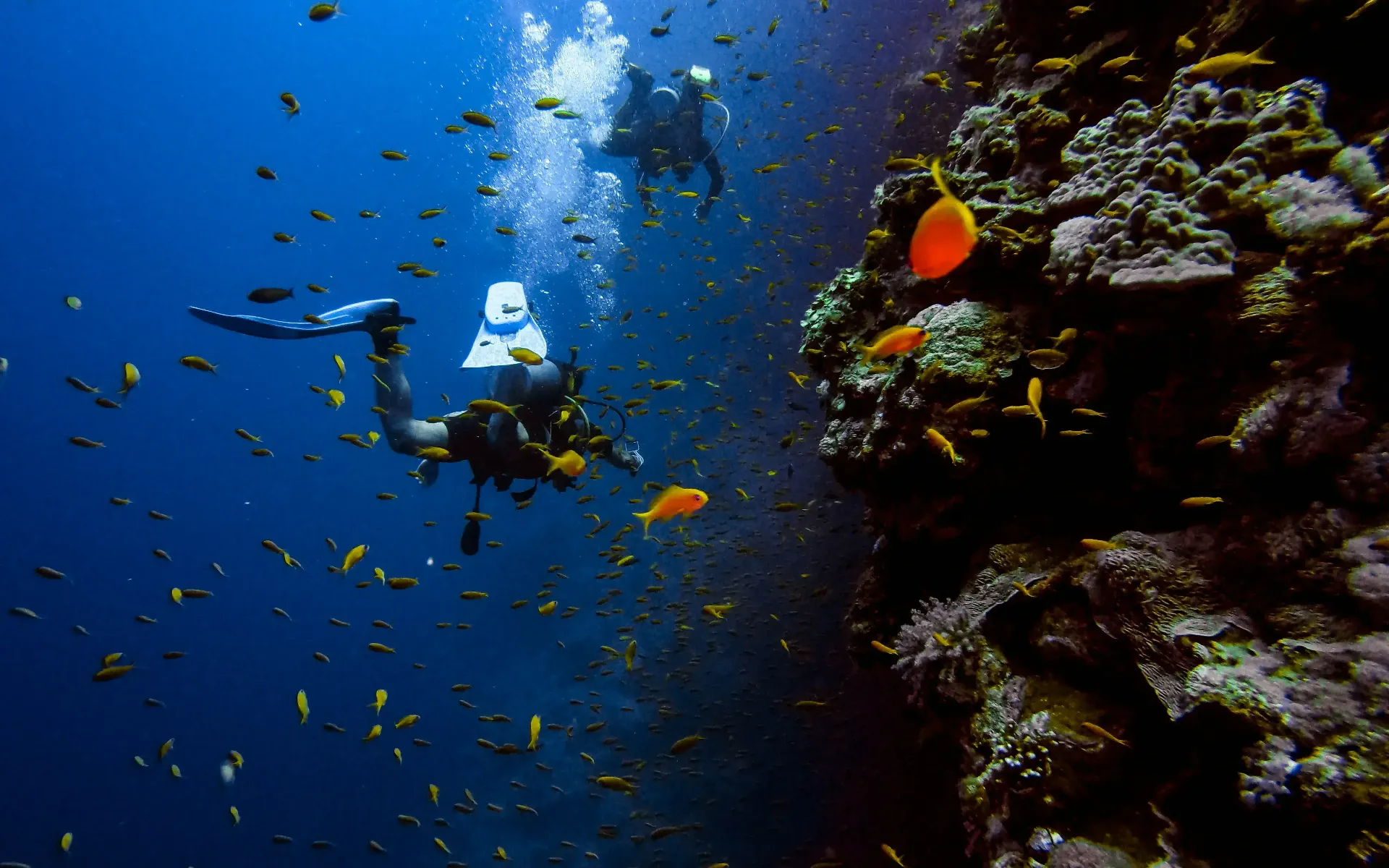 CAB - 3 hour Snorkeling Cruise