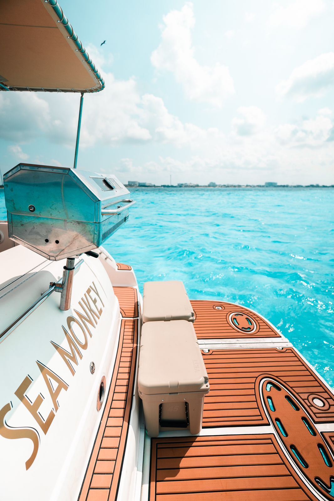 CDM - 50 ft sea monkey sea ray