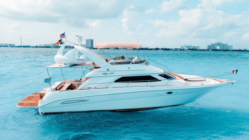 CDM - 50 ft sea monkey sea ray