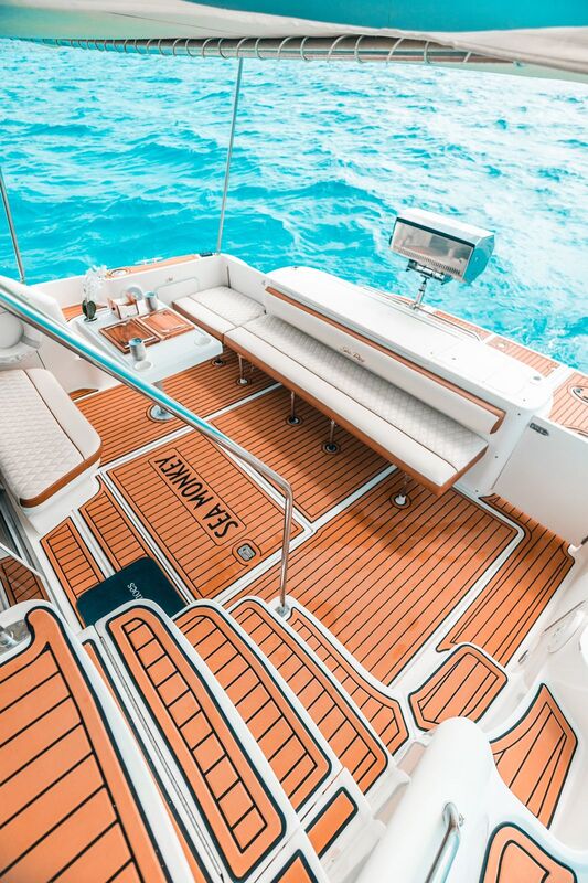 CDM - 50 ft sea monkey sea ray