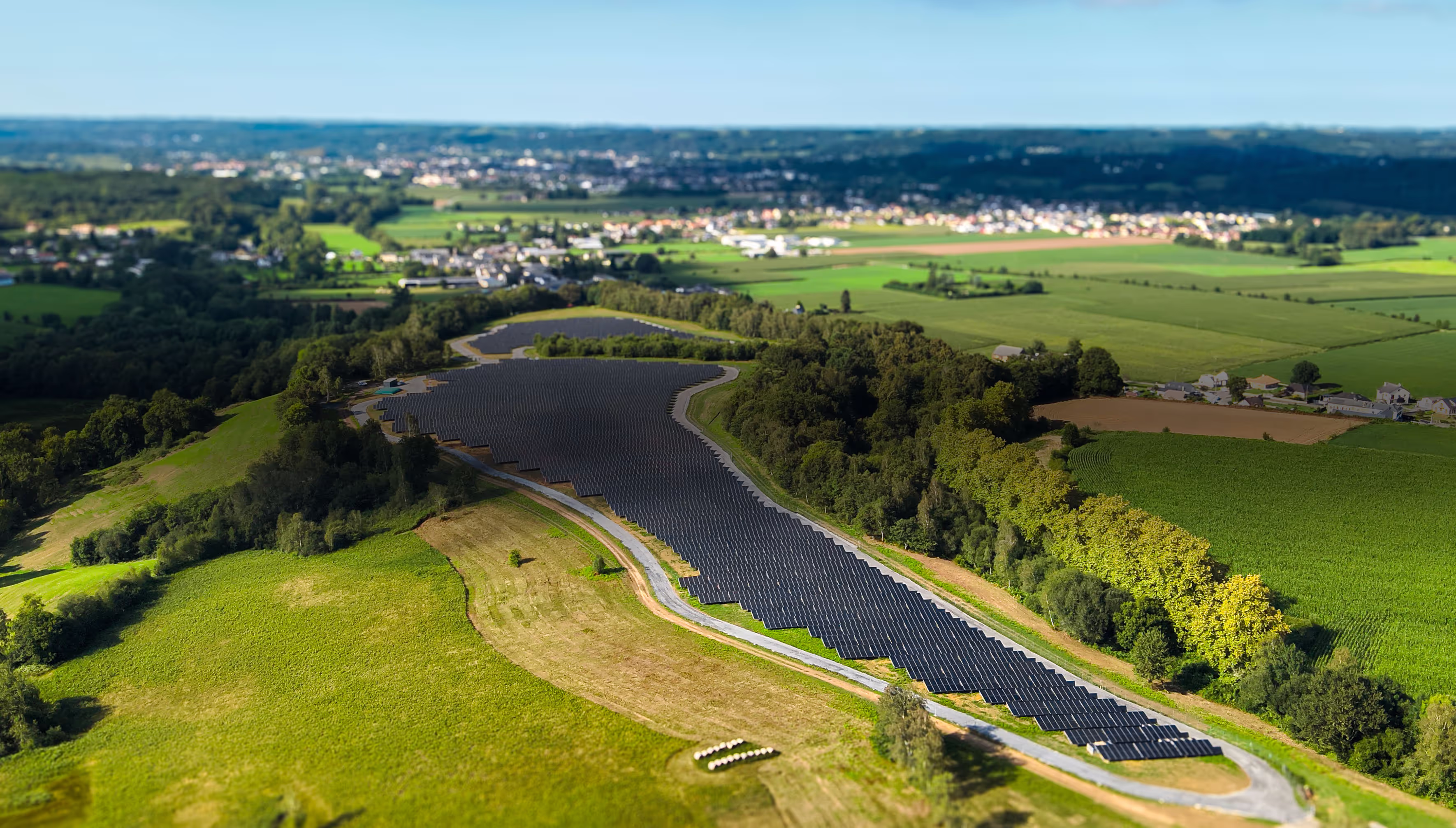 Agnos par Forestry France