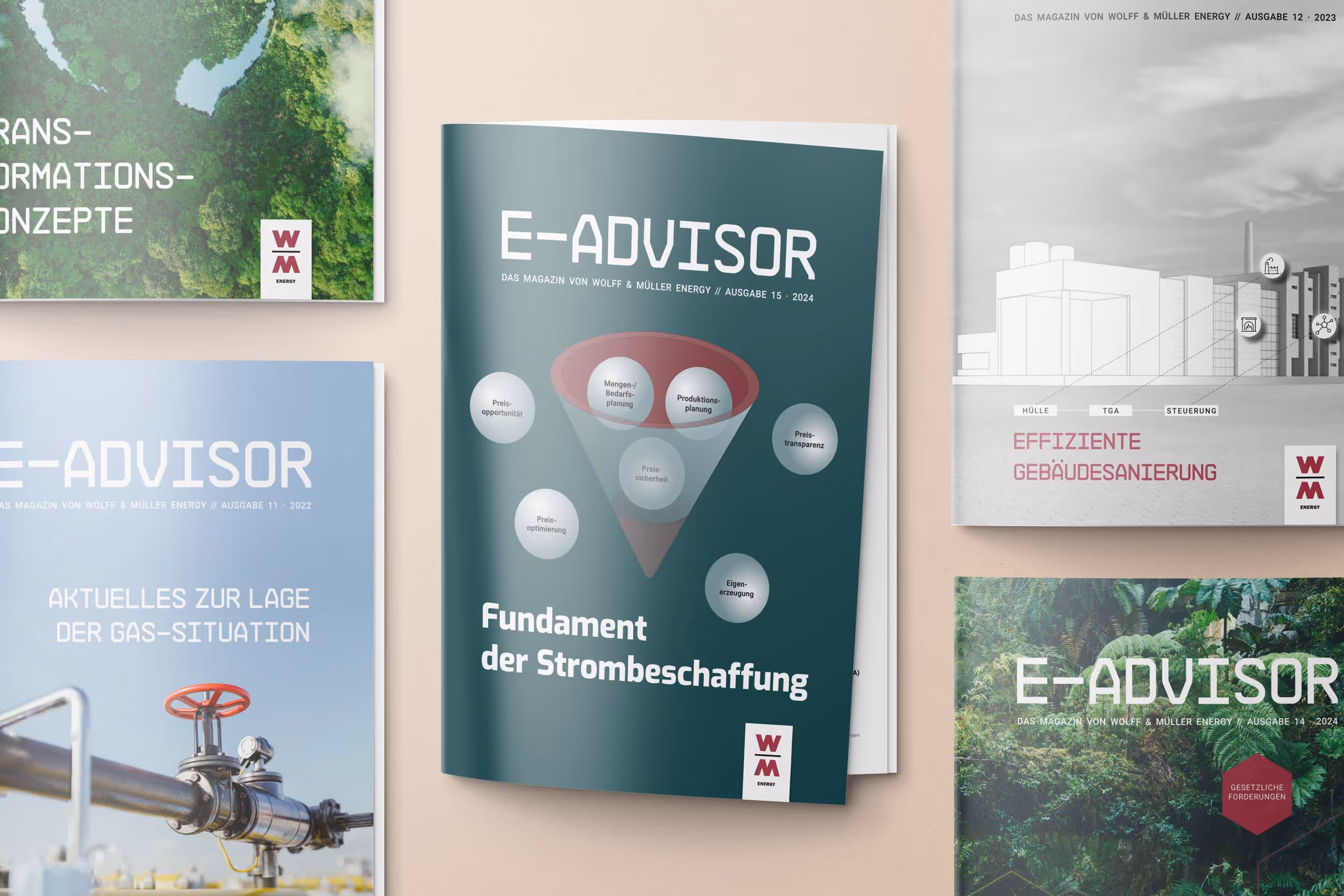 WOLFF & MÜLLER ENERGY: E-Advisor