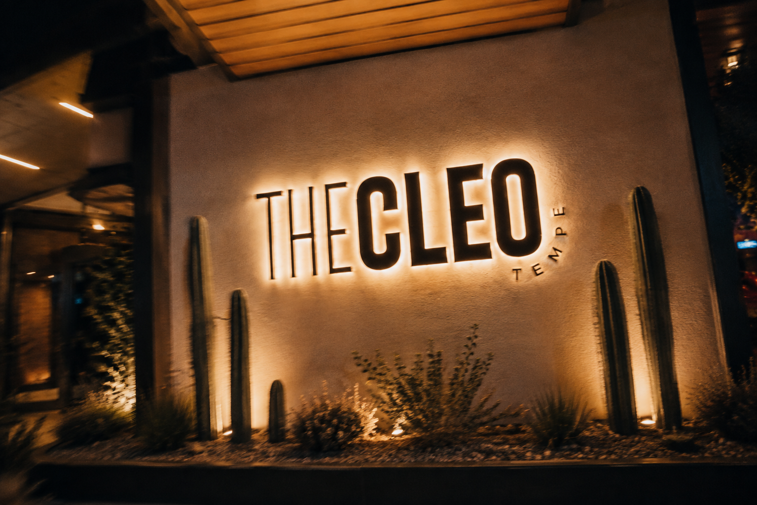 The Cleo Tempe illuminated wall sign surrounded by desert landscaping and tall cacti at night.