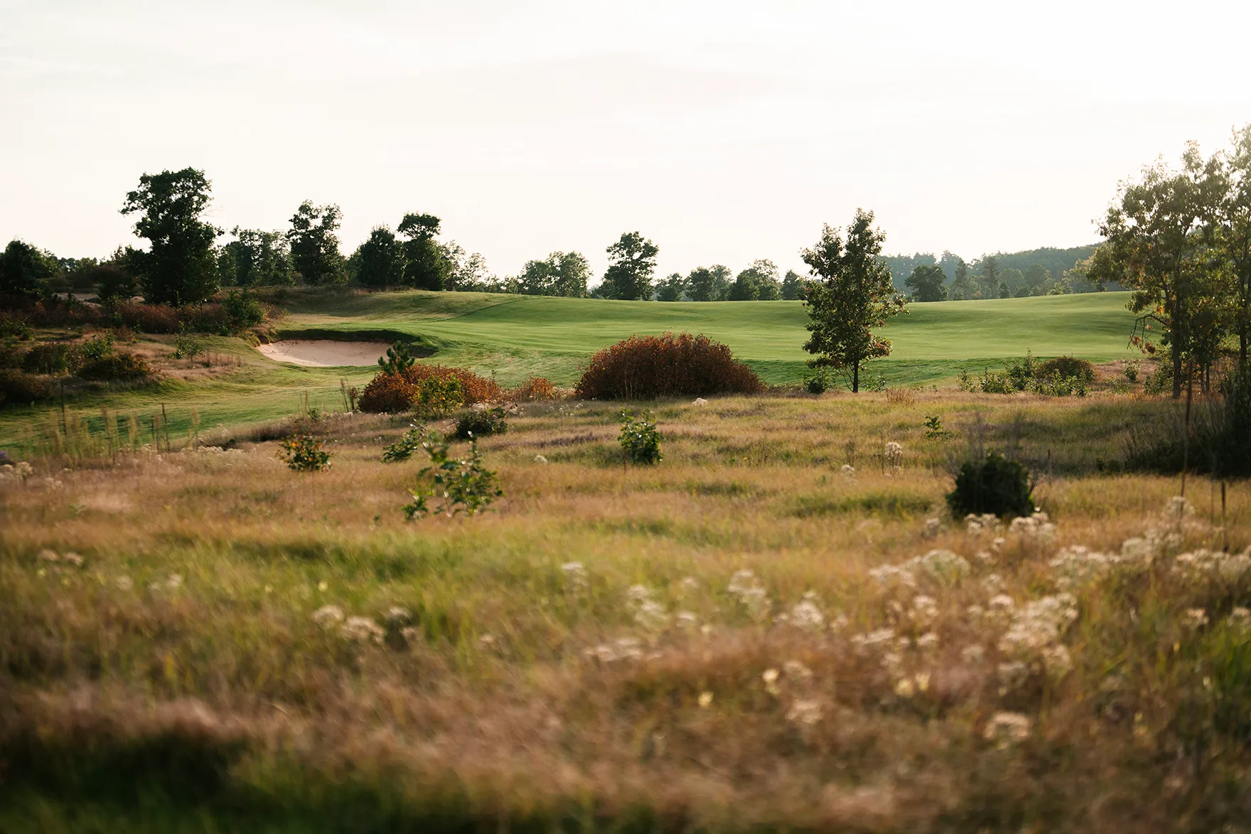 Shot of the course