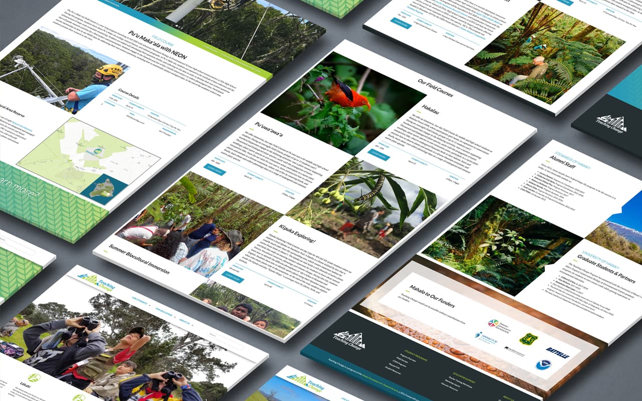 Mock up of Teaching Change Website