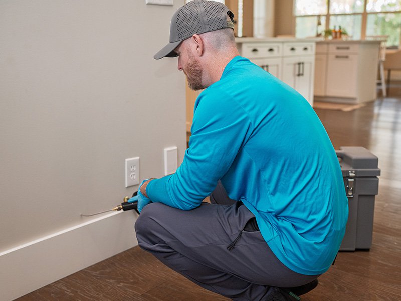 pest technician searching for termites