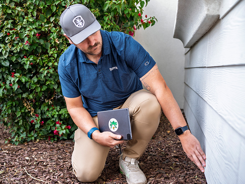 pest technician inspecting for termites