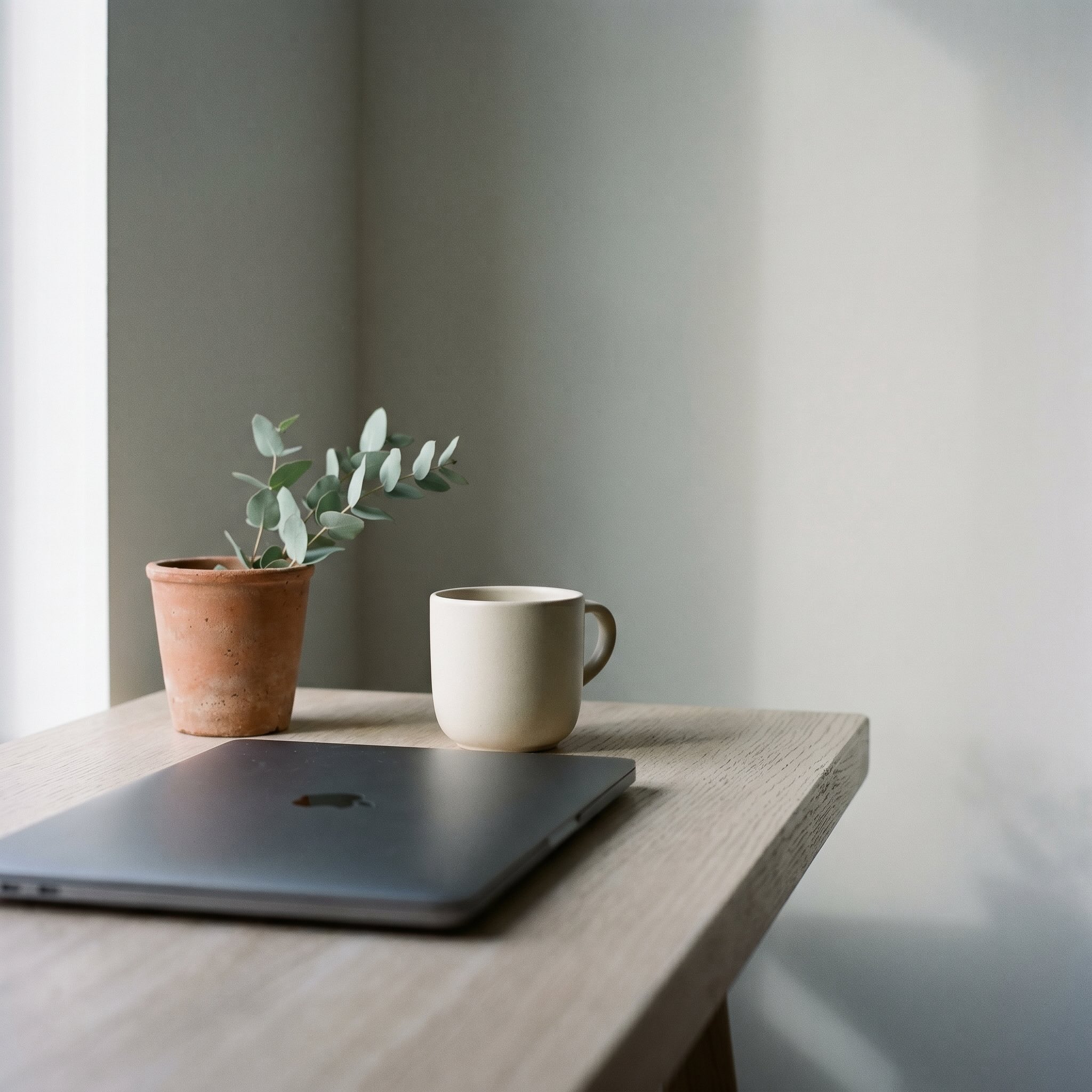 Closed laptop, a small eucalyptus plant and a ceramic mug on a wooden desk by a window