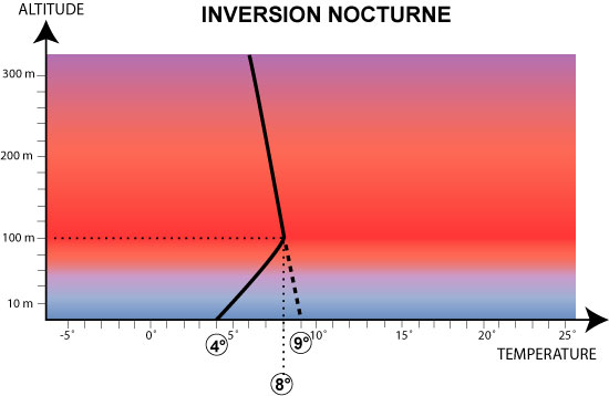 Image de montgolfières volant au-dessus d’une inversion