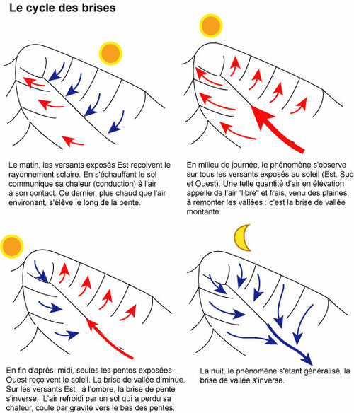 Illustration du cycle des brises
