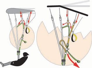 Illustration des afficheurs
