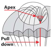 Illustration de l'apex