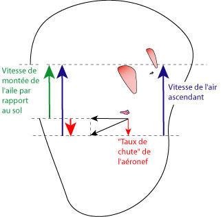 Illustration da l'ascendance