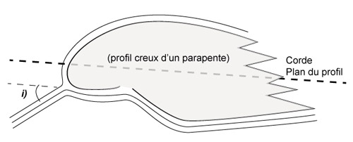 Illustration de sharknose