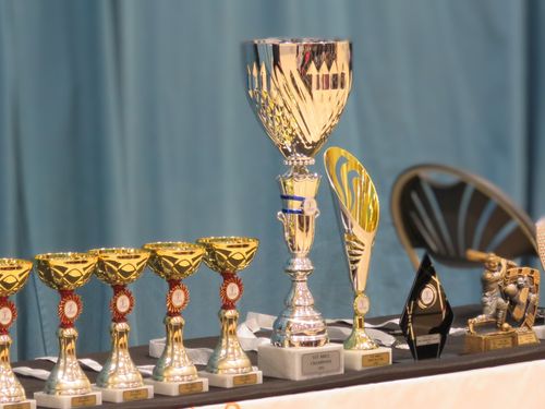 A shining display of trophies funded by the Yorkshire Cricket Foundation at the English Institute of Sport. Collection features multiple gold cups and custom awards proudly showing YCF logos — symbolising appreciation for talent & indoor cricket success