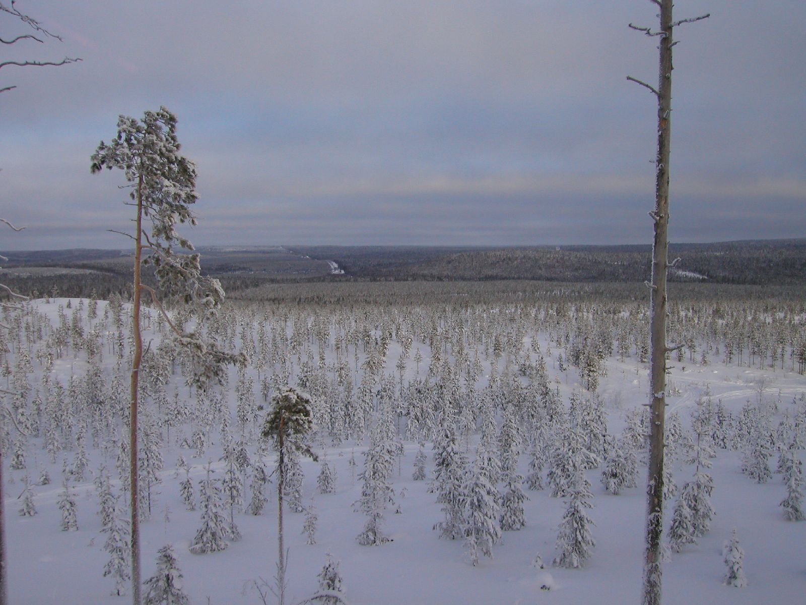 The Russia-Finland border and frontier zone, Finland on the left and Russia on the right