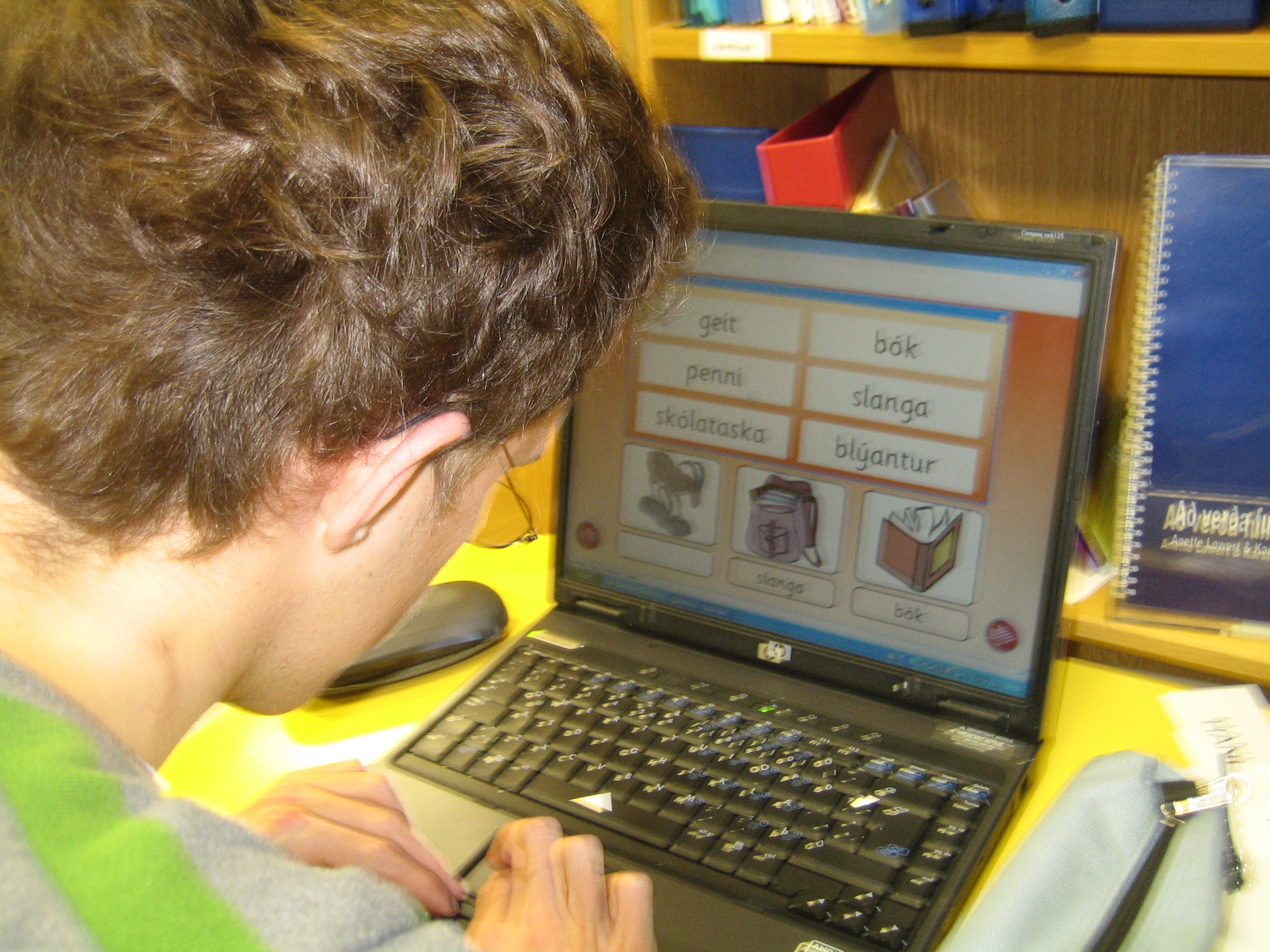 A student working at a computer in an Icelandic school