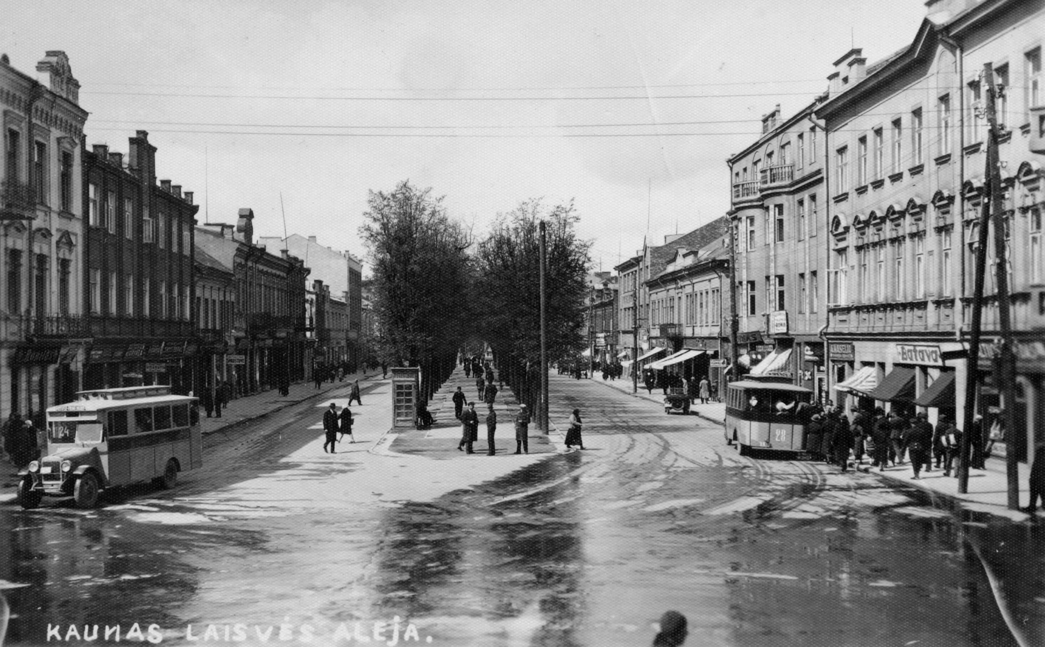 A historic black-and-white view of Laisvės alėja in Kaunas, with a bus, a tram and shopfronts along the tree-lined avenue.