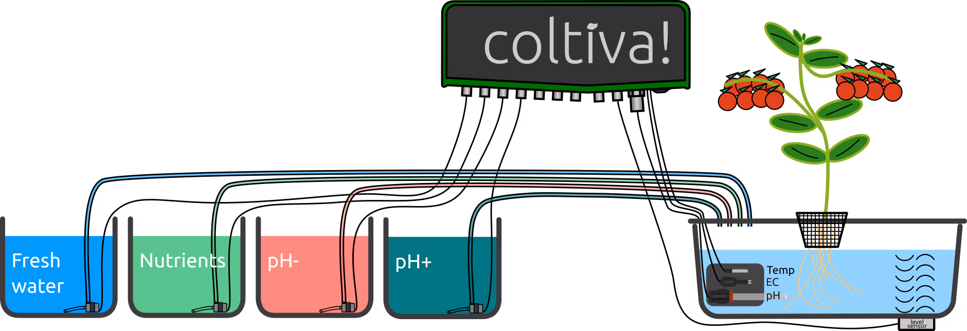 A drawing of a Coltiva device monitoring a tomato grow in DWC. The Coltiva device monitors the nutrient solution in the reservoir with cabled sensors for water level, pH, EC and temperature. The Coltiva device is also connected to four pumps, each of which is positioned in separate tanks. The tanks contain water, nutrients, pH- and pH+, respectively.