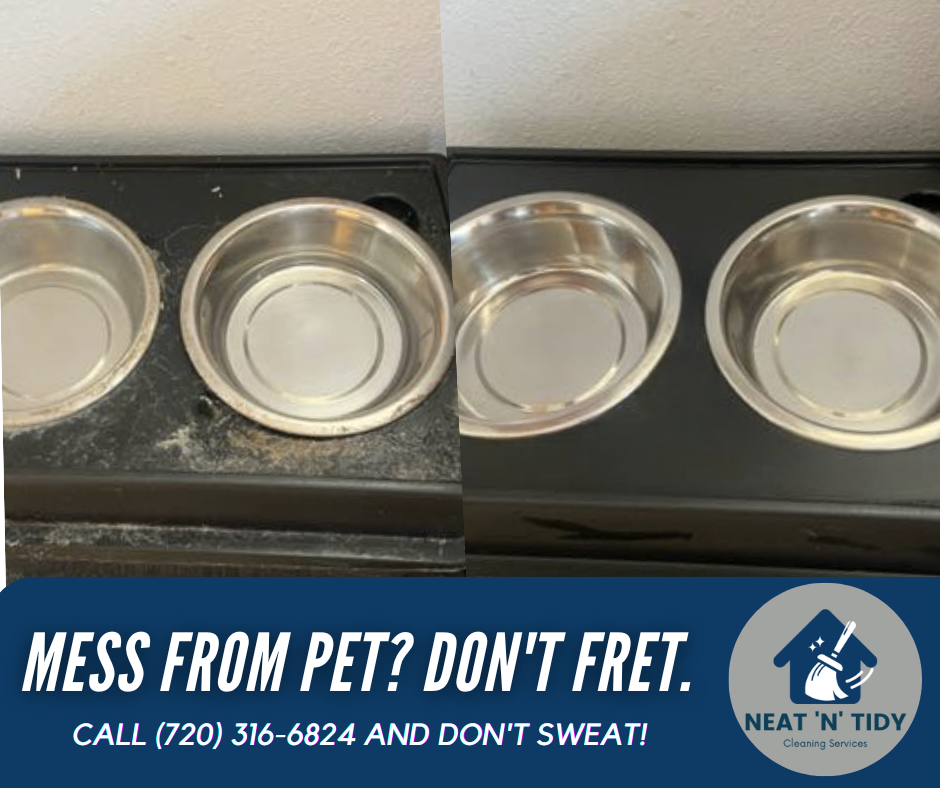 top rated cleaning services near me