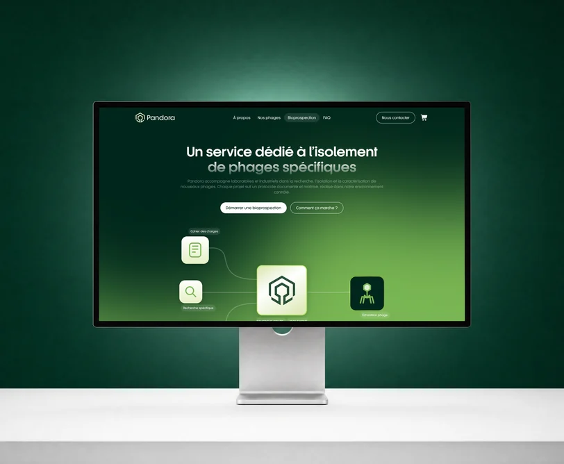 Site web Pandora réalisé par l'agence Apollo