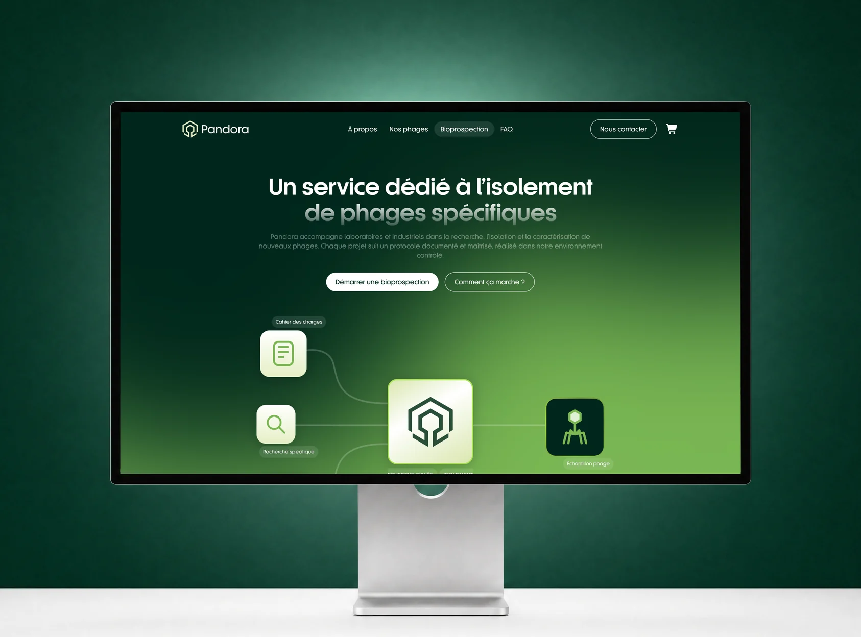 Pandora : Design & Développement web, réalisé par l'agence Apollo