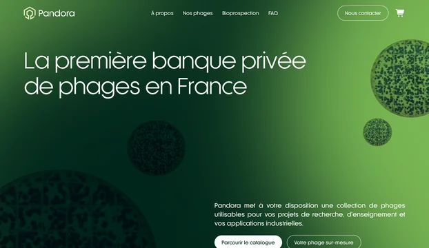 Site web Pandora réalisé par l'agence Apollo