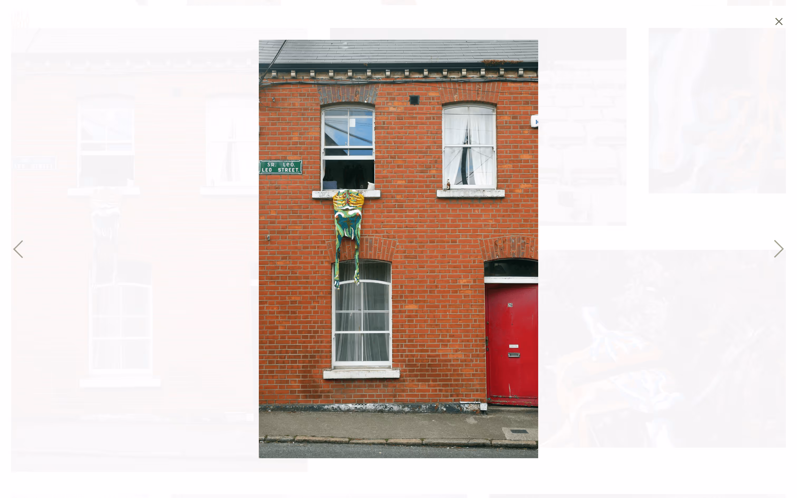 Screenshot from site of isolated view of photo of textile from "As much as I wouldn't want to" series. 