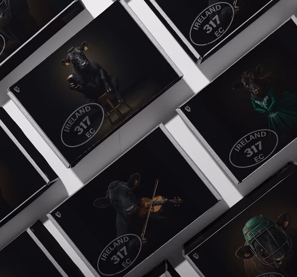 Boxes with package design from concept C, arranged in a grid.