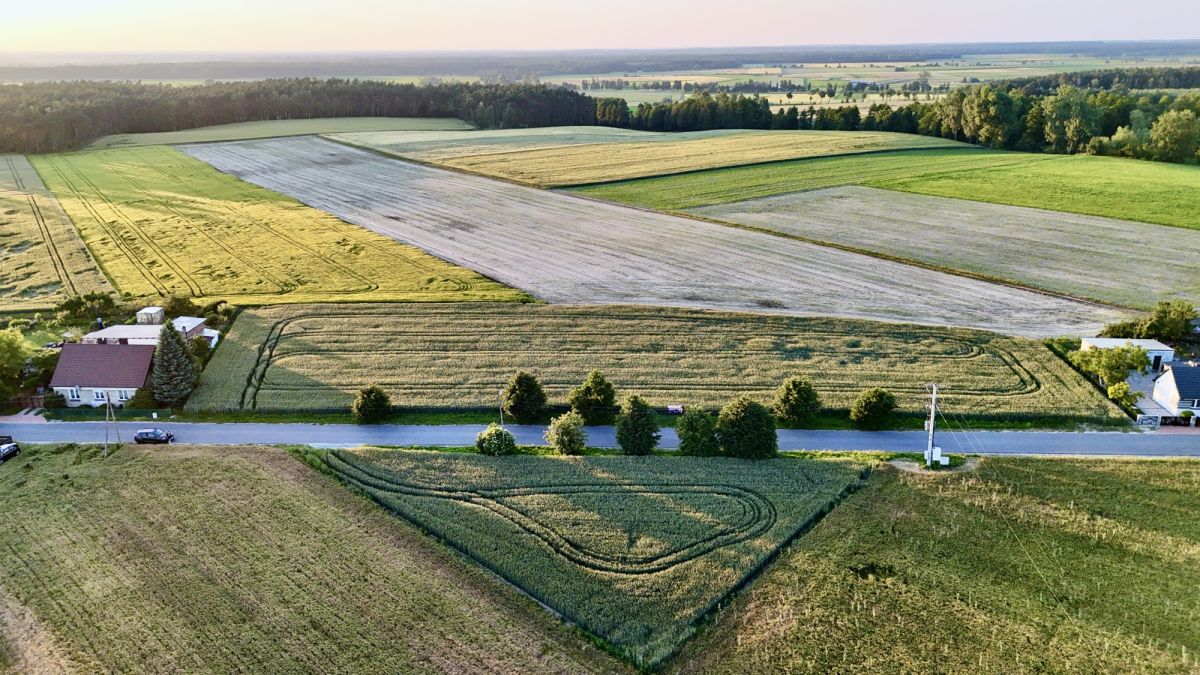 Zamieszkaj bliżej natury – Bieździadów