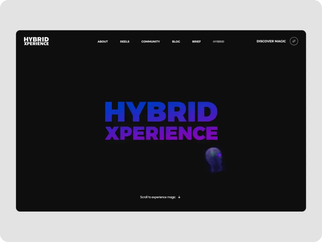 Portfolio Project