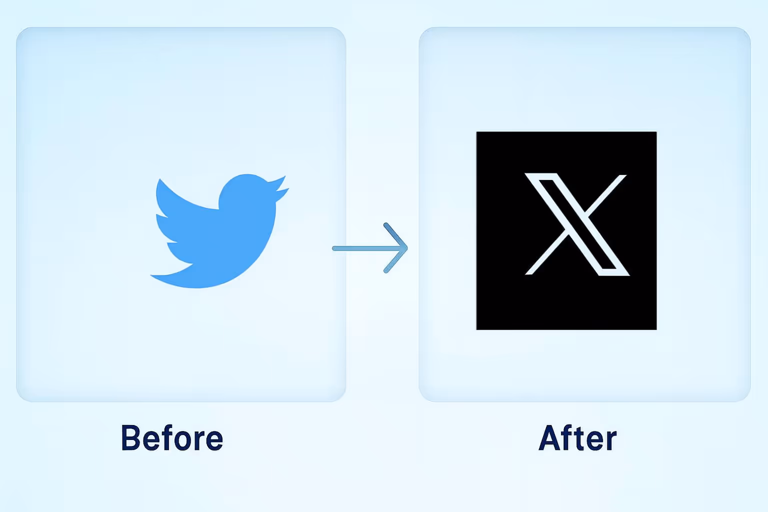 Visual comparison of Twitter's brand evolution. The 'Before' frame shows the familiar blue bird logo. The 'After' frame displays the new black X logo, representing the transition to the X platform.‍