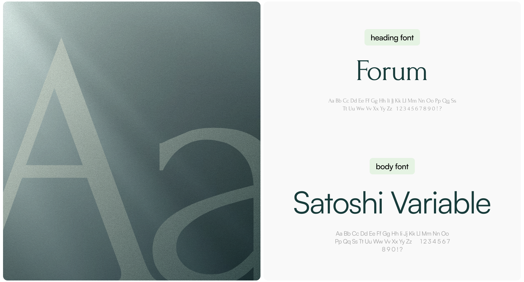 Split-screen typography specimen: textured gray panel with oversized “Aa” on left; white panel shows Forum heading and Satoshi Variable body font.