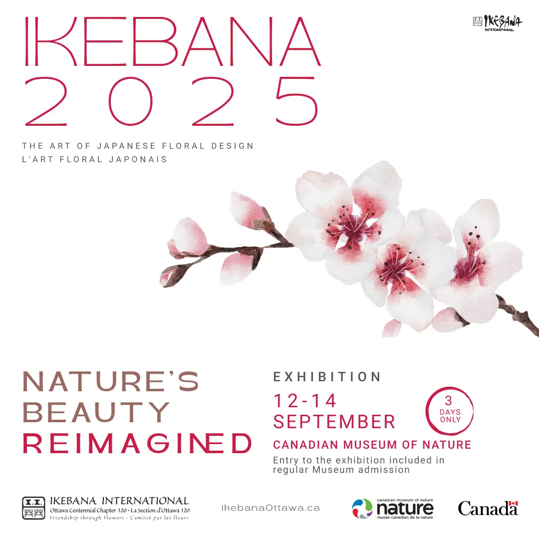 ii_ exhibition