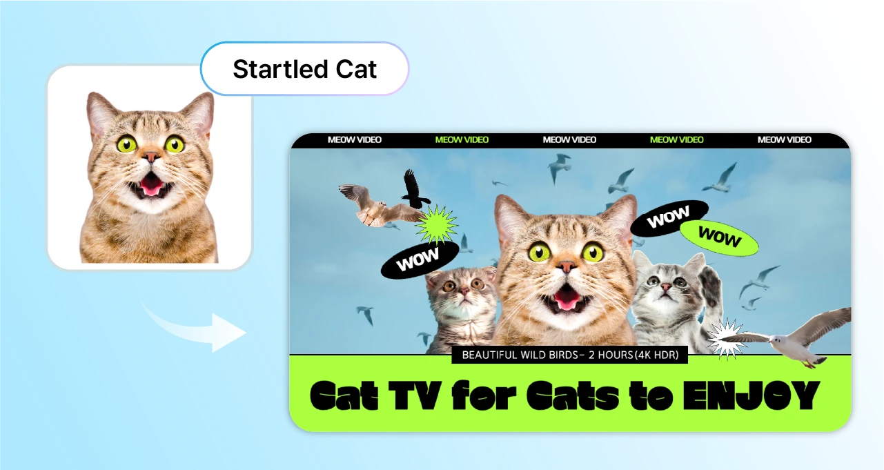 A VOD advertisement created using the AI Image Generator feature