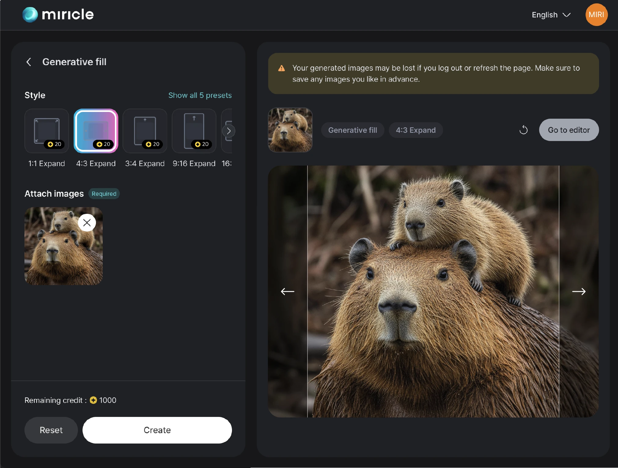 Interface screenshot displaying the image extension tool on Miracle page, with a capybara image being expanded