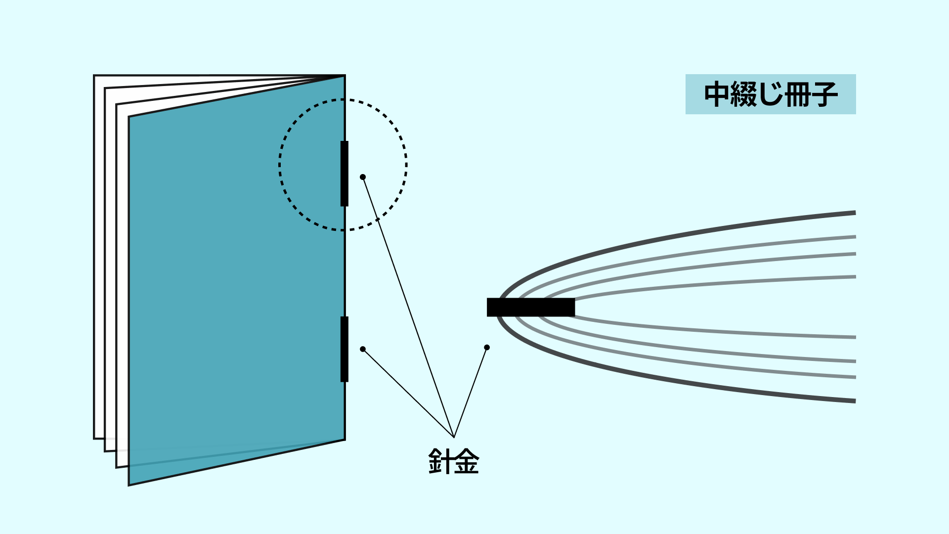 パンフレットの中綴じ冊子の作り方-紙を重ねて中央で綴じる構造